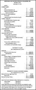 Open Doors Financial Info 2016