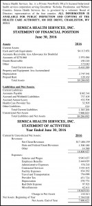 statement-of-financial-position-seneca-health-services-2016